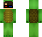 turtle swag