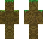 dirt