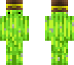 cactus with hat