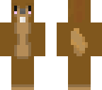 squirrel