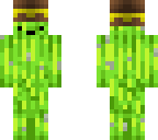 cactus with hat