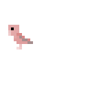 pink parakeet