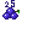 25 blueberrys