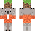 koala carrying block
