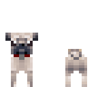 pug