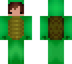 reg tortle