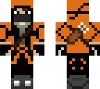 assassin's ninja