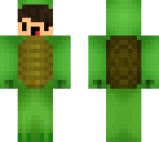 turtle derp