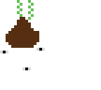 poop