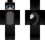 black cat