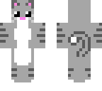 cute gray cat