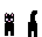 kitty