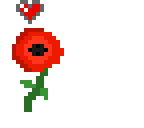 poppy