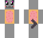 nyan kitty