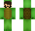 turtle sheep