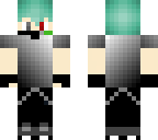 twin skin