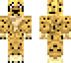 cheetah 
