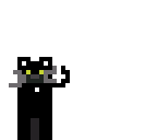 kitty cat