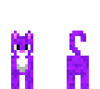 purple kitten