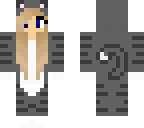 grey kitty