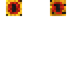 the eye