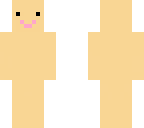skin template