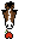 horse loves apple