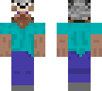 nice steve