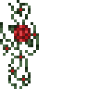 skin contest