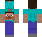 steve swap
