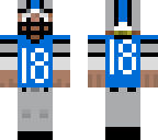 detroit lions