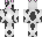 dutch the rabbit
