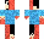 injerd minecraft person