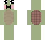 kawaii turtle