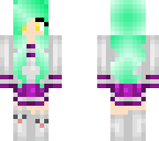 skin-comp entry