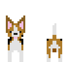 dog returns