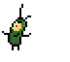 plankton