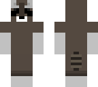 raccoon