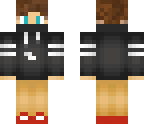 niserrgamerproaso