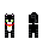 kitty cat