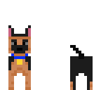 perro