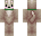 lolly the dog