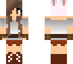 minecraft diaries