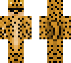 cool cheetah