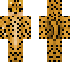 female cheetah