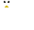 seagull