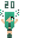 20 followers