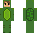 turtlehero skin