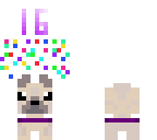 16 puppies
