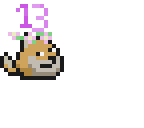 13